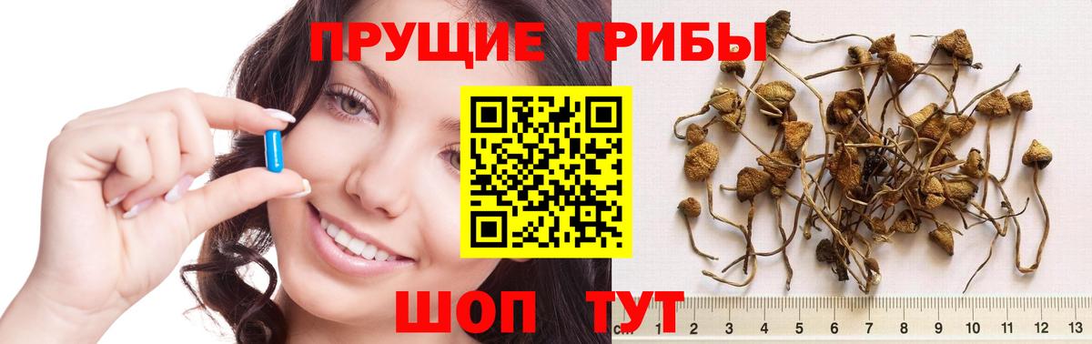 Псилоцибиновые грибы мухоморы Шатура
